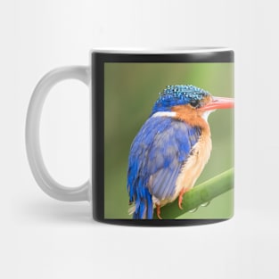 Malachite Kingfisher Mug